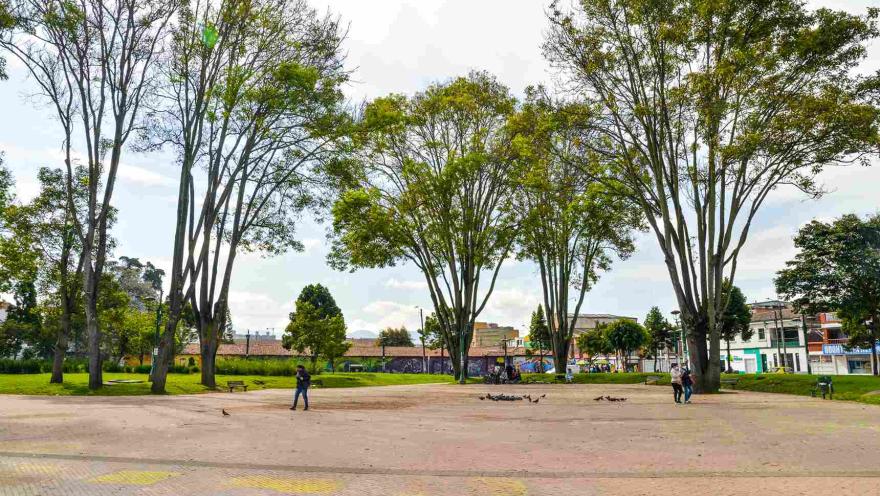 Plano general de la plazoleta en la que sobresalen por lo menos 5 árboles altos.