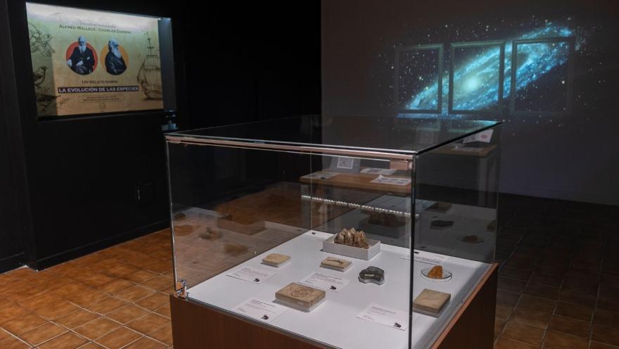 Una sala de museo con una vitrina de vidrio en el centro, donde se exhiben fósiles, minerales y piezas científicas acompañadas de fichas informativas. En una de las paredes se observa un panel dedicado a la teoría de la evolución, con referencias a Charles Darwin y Alfred Russel Wallace, mientras al fondo una proyección de galaxias aporta un ambiente inmersivo. La iluminación tenue resalta el carácter académico y reflexivo del espacio.