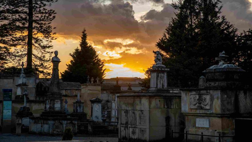 Panorámica interna con mausoleos en piedra y rodeados de árboles al atardecer. 