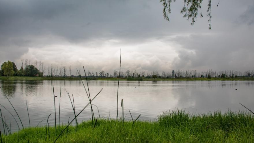 Laguna tranquila rodeada de vegetación verde y juncos en primer plano, bajo un cielo nublado, con árboles y paisaje natural al fondo.