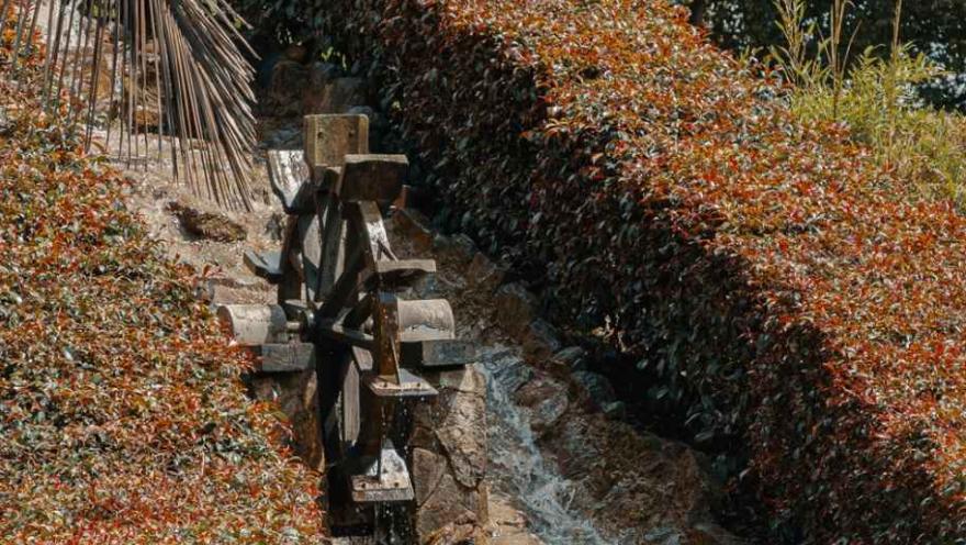  Pequeña rueda hidráulica de madera movida por agua en un canal rodeado de arbustos y vegetación ornamental en un parque.