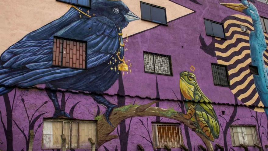Mural colorido de un pájaro y una rana en un edificio, mostrando arte urbano vibrante y creativo.