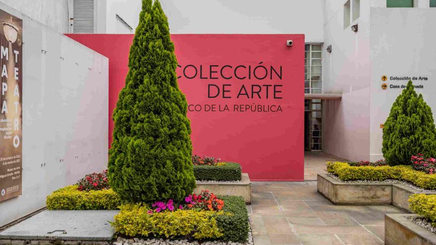 Salón interior con un gran pino y una pared roja con letras negras en las que hay una leyenda que dice: "Colección de arte".