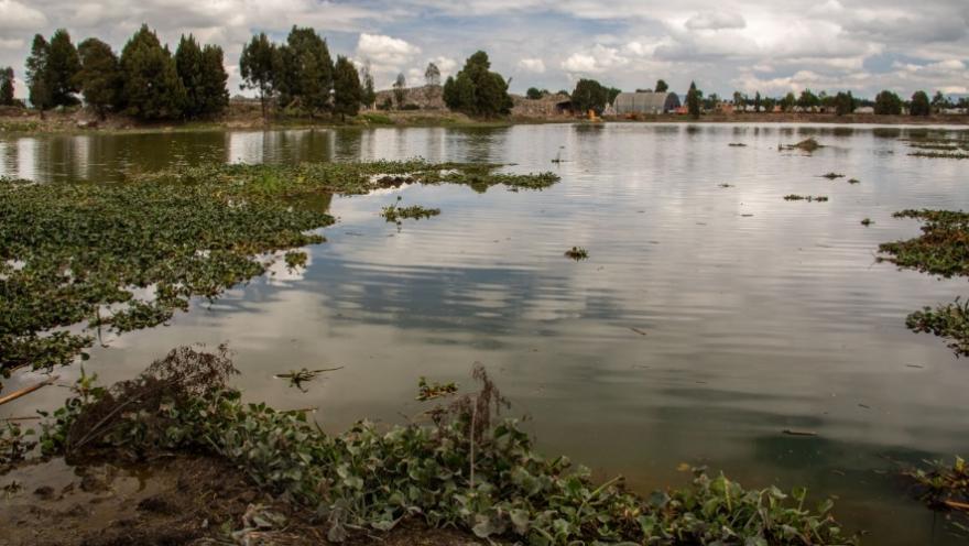  Laguna rodeada de vegetación acuática y árboles, con el reflejo de las nubes en el agua y un paisaje natural abierto al fondo.