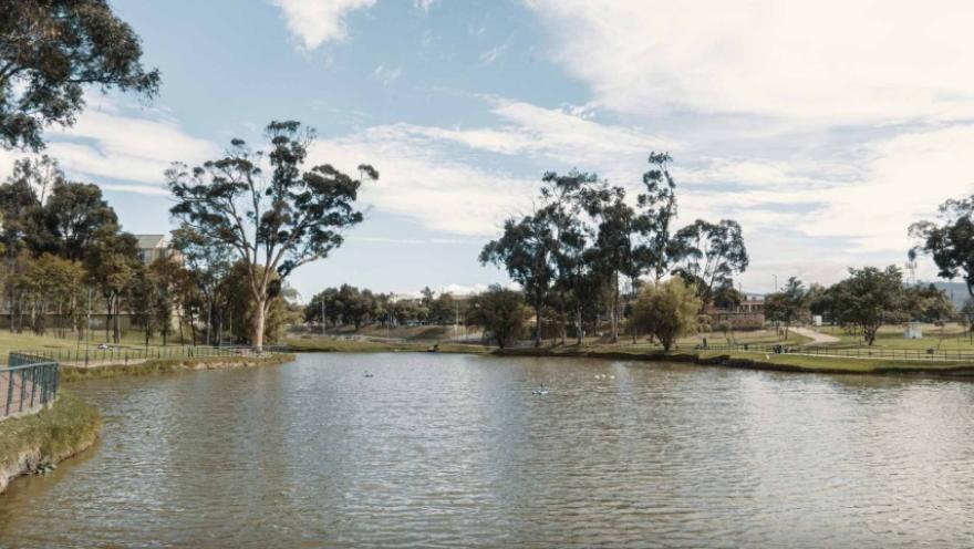 Lago tranquilo en un parque urbano, rodeado de árboles altos y zonas verdes. A los costados se observan senderos peatonales y barandas metálicas, con edificaciones a lo lejos bajo un cielo parcialmente nublado.