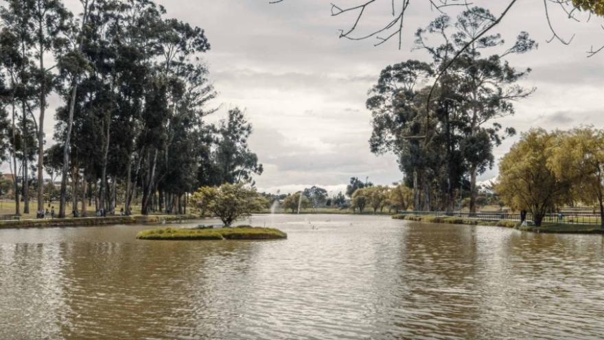  Lago amplio en un parque con una pequeña isla central cubierta de césped y un árbol. Alrededor se alzan árboles altos y frondosos, con senderos peatonales y algunas personas a lo lejos, bajo un cielo nublado.