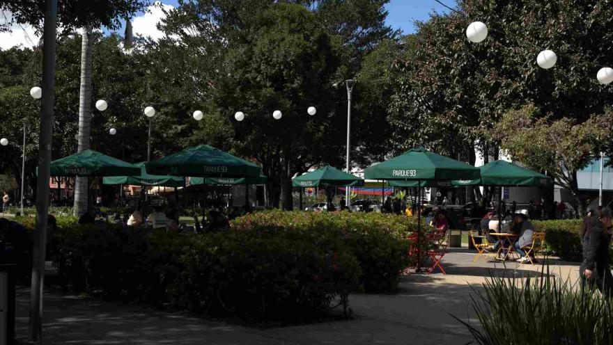 Zona de descanso con mesas y sombrillas verdes, donde varias personas conversan y se reúnen en un entorno arbolado. 