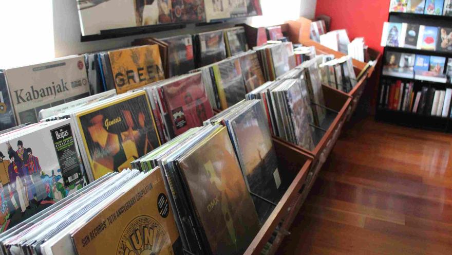 Estantería con discos de vinilo exhibidos en una tienda, con portadas visibles y ambiente interior cálido.