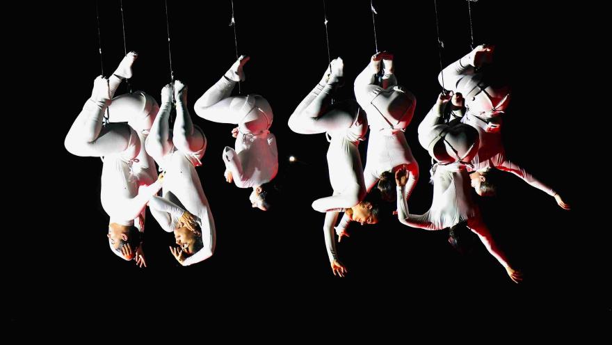 Grupo de acróbatas vestidos de blanco suspendidos boca abajo con arneses, alineados en el aire sobre un fondo negro y con iluminación dramática que resalta sus cuerpos y poses.