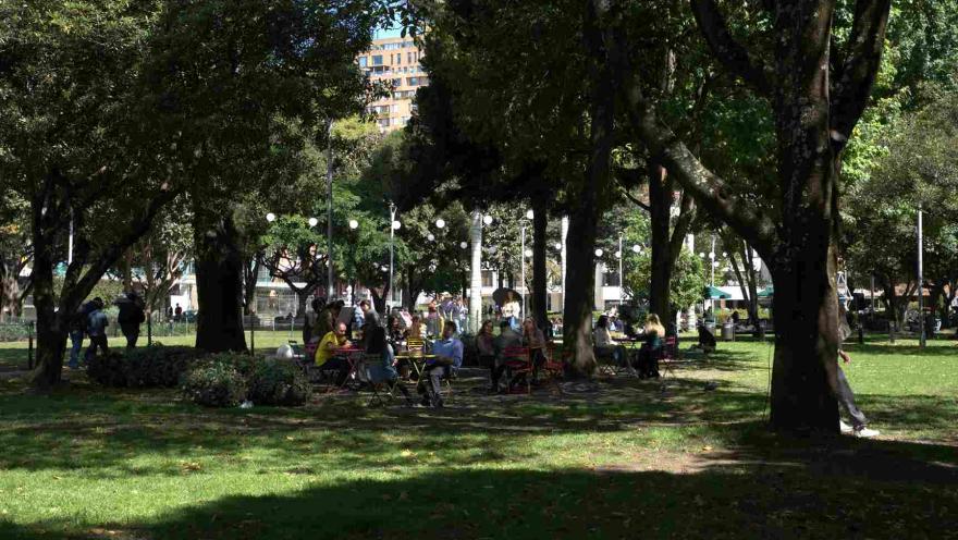 Personas sentadas y compartiendo en mesas bajo la sombra de árboles en un parque amplio. 