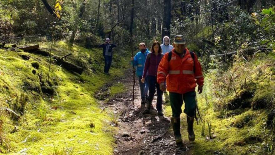 A group of people walks along an ecological trail through trees and vegetation in a forest in the mountains of Bogotá.