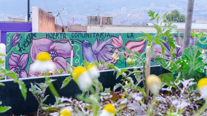 Huerta comunitaria con plantas en primer plano y un mural colorido al fondo que celebra la naturaleza y el trabajo colectivo en la ciudad.