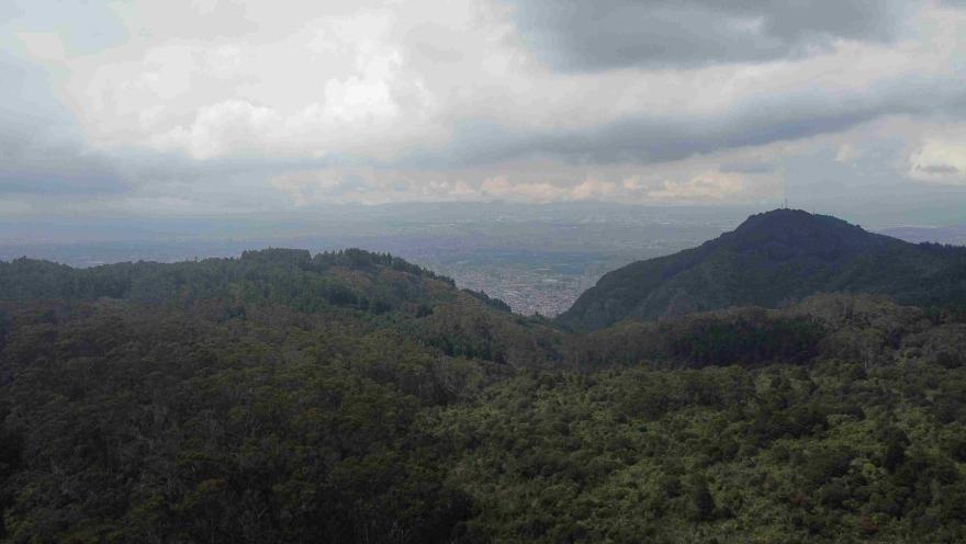 A panoramic view of the mountains and forests surrounding Bogotá under a cloudy sky and a vast natural landscape.