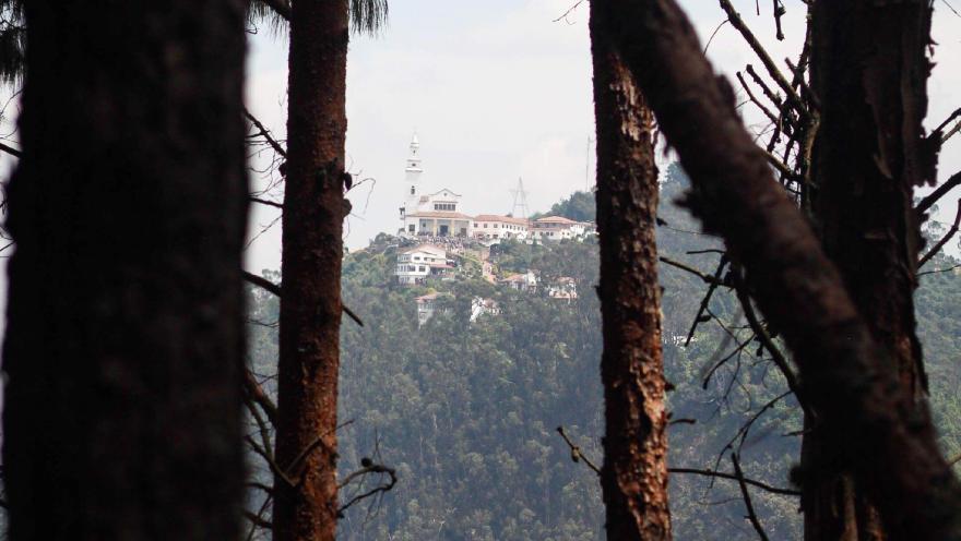  Vista de un santuario en la cima de una montaña, enmarcado por troncos de árboles en primer plano y rodeado de bosque.