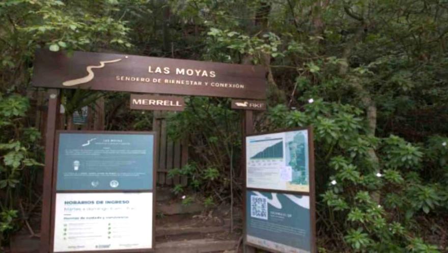 Ingreso al sendero ecológico Las Moyas, con señalización informativa rodeada por abundante vegetación y bosque nativo de los cerros orientales de Bogotá.