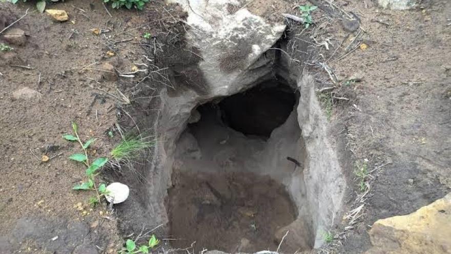 Entrada de una pequeña cueva excavada en tierra y roca, rodeada de vegetación y piedras, en un entorno natural.