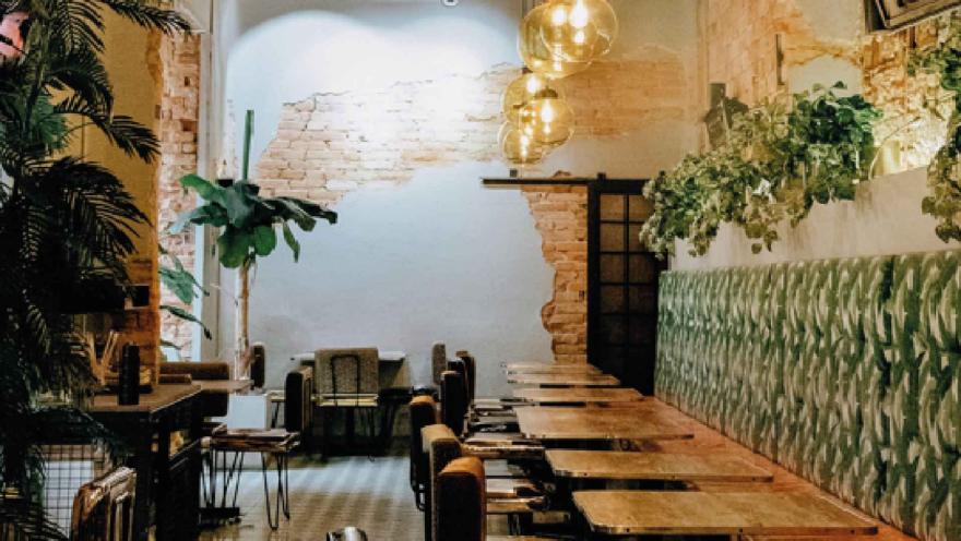 Comedor con paredes de ladrillo expuesto, plantas tropicales, lámparas esféricas y banquetas tapizadas en verde.