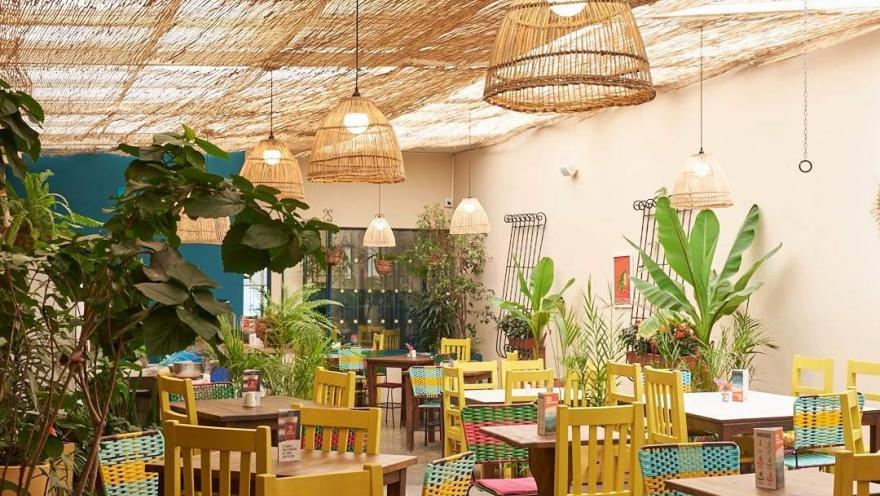 Interior del restaurante con mesas de madera, sillas coloridas, abundante vegetación y lámparas de mimbre que crean un ambiente cálido y acogedor.