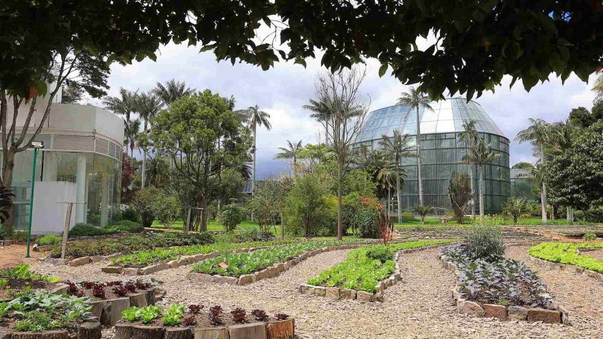 Huerto urbano con bancales de cultivo y el domo de cristal del Jardín Botánico de Bogotá al fondo.