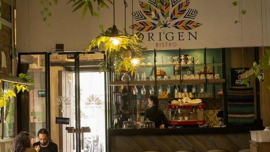 Interior of Origen Bistro featuring a bar, plant decor, and a cozy atmosphere.