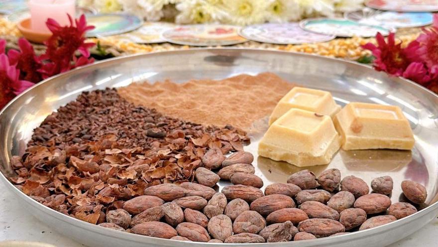 Semillas de cacao y derivados dispuestos en una bandeja para mostrar sus diferentes texturas.