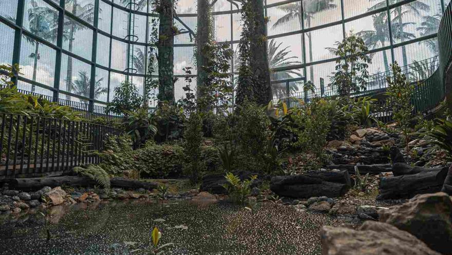 Interior del Tropicario del Jardín Botánico de Bogotá, con vegetación tropical, árboles y un pequeño estanque rodeados por una estructura de vidrio.