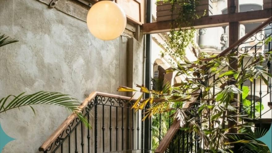 Escalera interior rodeada de vegetación, con barandas de hierro forjado, detalles en madera y una lámpara de luz cálida.