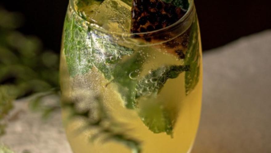 A refreshing drink with mint, citrus, and ice, served in a glass tumbler to accompany the dining experience.
