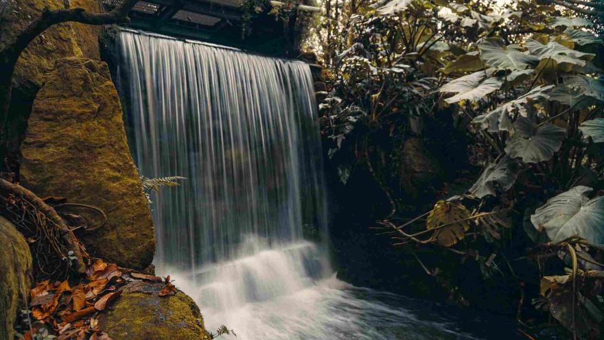 Cascada rodeada de vegetación tropical en el interior del Tropicario del Jardín Botánico de Bogotá.