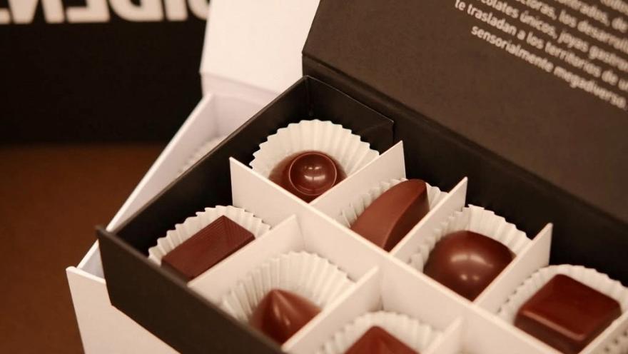 Caja de chocolates artesanales con piezas de diferentes formas y acabados.
