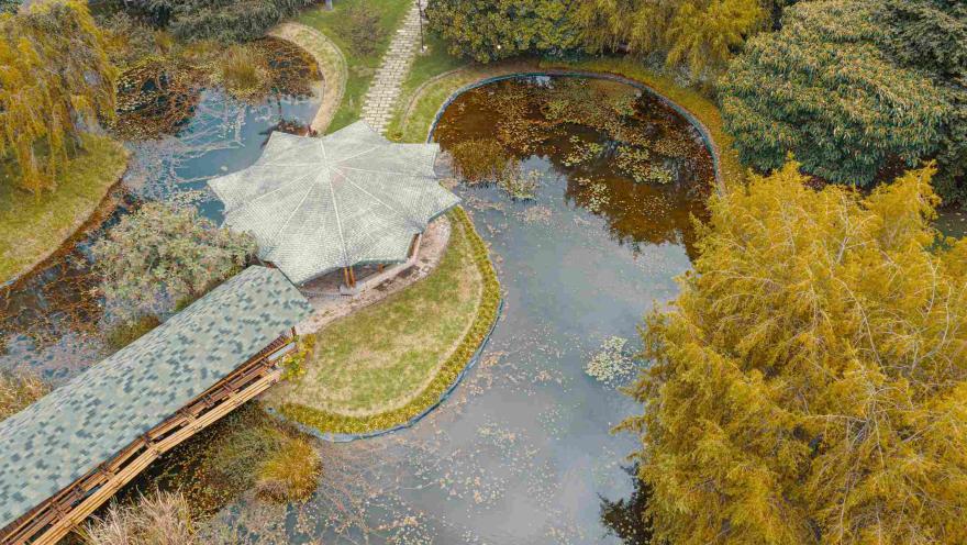 Vista aérea de los jardines acuáticos del Jardín Botánico de Bogotá, con estanques, senderos y pabellones rodeados de vegetación.