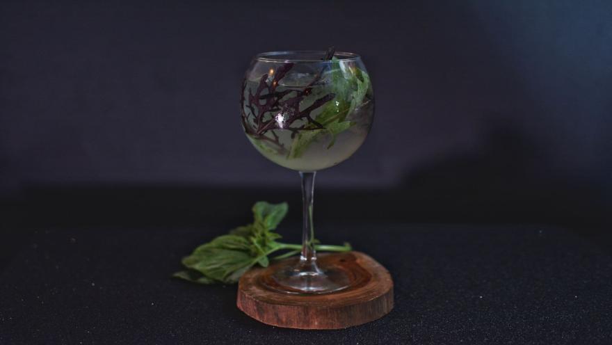 Mojito Fusión. Clásico con toques exóticos. Menta, especias y el espíritu de un buen cóctel.