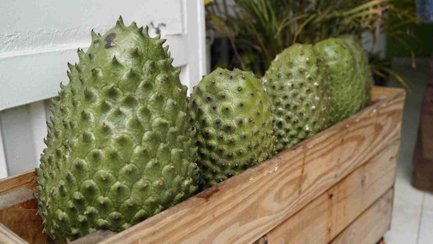 Primer plano de guanábanas frescas y verdes dispuestas en hilera dentro de un guacal de madera. 
