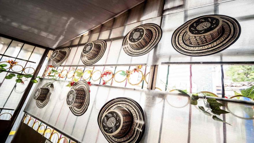Exhibición de varios sombreros vueltiaos tradicionales dispuestos sobre una pared translúcida con iluminación natural.