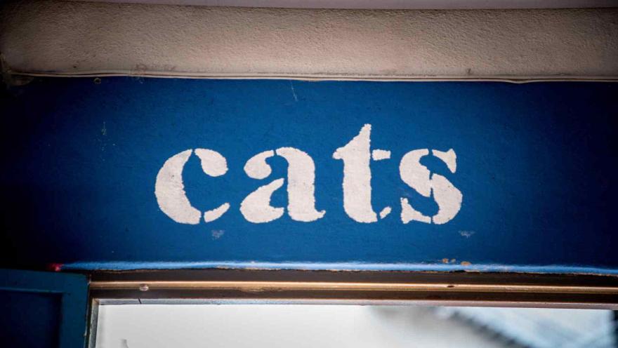  Detalle arquitectónico mostrando la palabra "cats" estarcida en pintura blanca sobre una viga estructural de color azul.