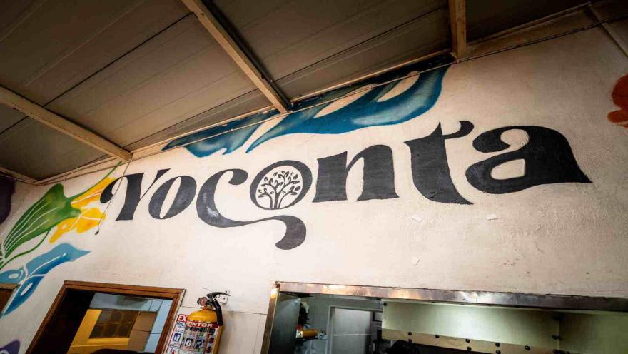  Logotipo de Yoconta pintado en tipografía negra sobre la pared blanca del local junto a decoraciones botánicas.