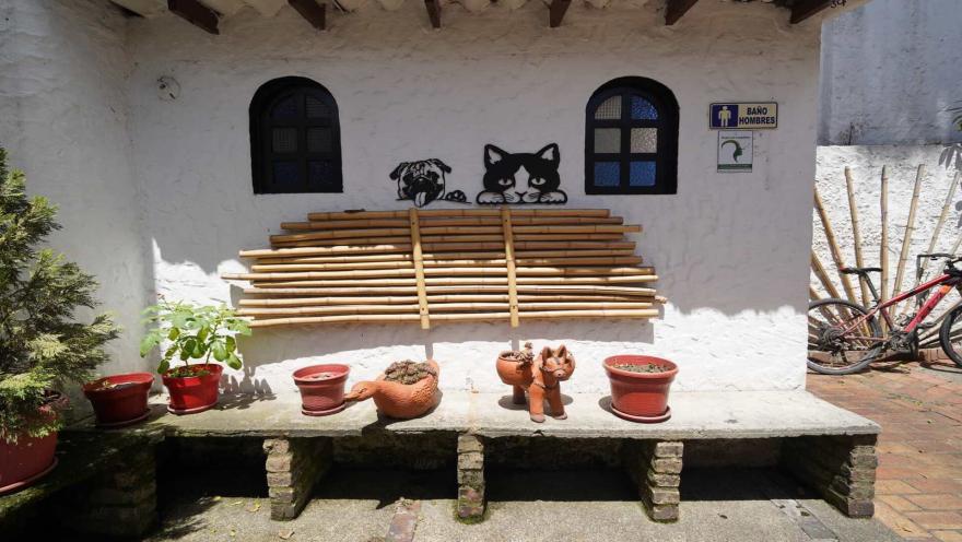  Área exterior con banco de bambú, siluetas decorativas de mascotas y acceso al baño.