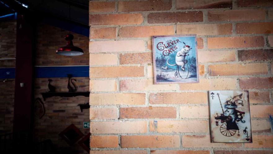 Pared de ladrillo decorada con placas metálicas de estilo vintage que presentan ilustraciones antropomórficas de gatos.