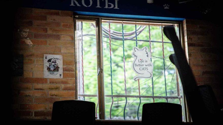 Ventana enrejada que da al exterior, adornada con un letrero colgante en forma de gato que contiene una frase temática.