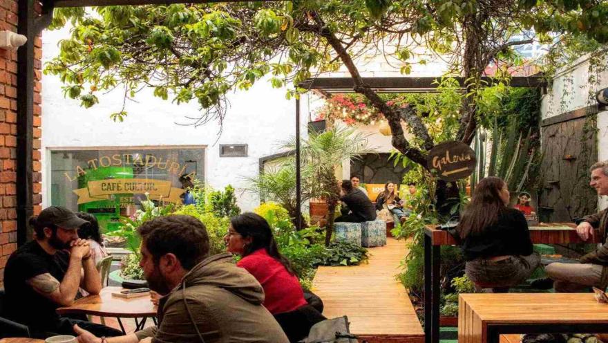 Terraza al aire libre rodeada de plantas y árboles con clientes sentados en mesas de madera y área de tostaduría. 