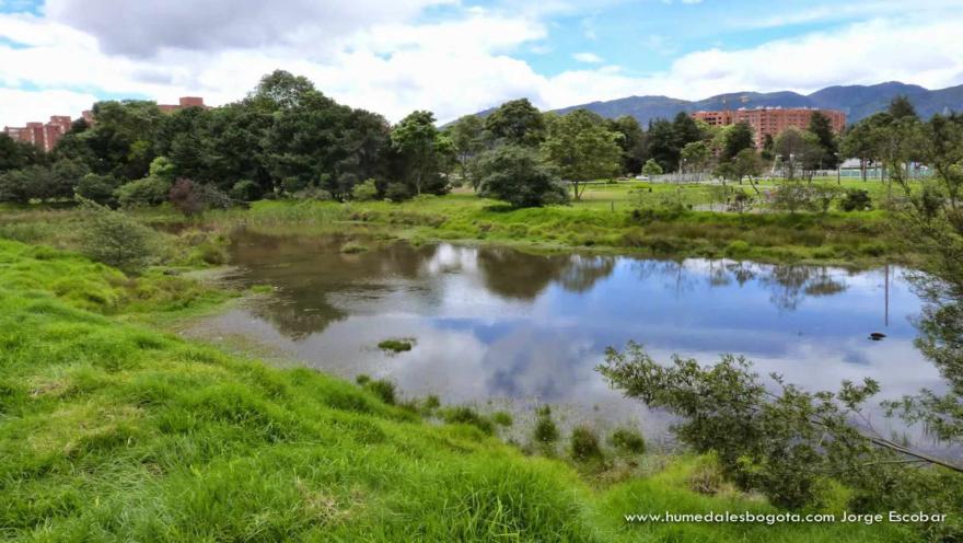 Panoramic view of the El Salitre Wetland, with its body of water, green spaces, trees, and the mountains of Bogotá in the background.