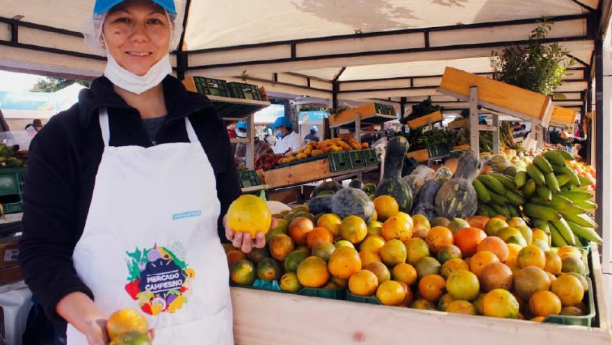  Vendedora de un mercado campesino ofrece frutas frescas en un puesto de alimentos.