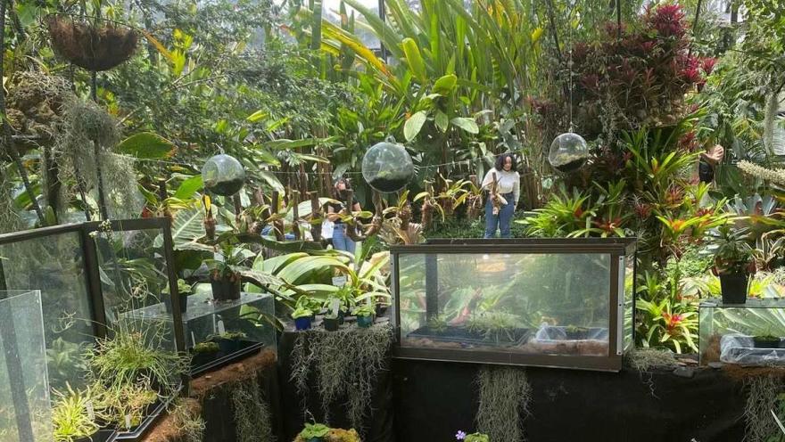 Espacio interior lleno de plantas tropicales, jardines colgantes y vitrinas de exhibición, donde los visitantes recorren un ambiente natural.