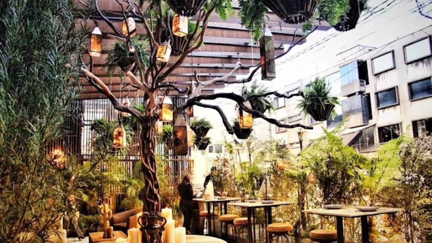Terraza al aire libre rodeada de vegetación, árboles decorativos, mesas y cálida iluminación.