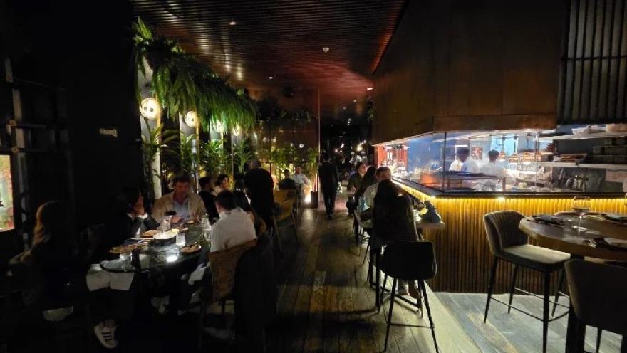 Interior de Salvaje Bogotá con comedor, barra de sushi a la vista, iluminación tenue y decoración con abundante vegetación.