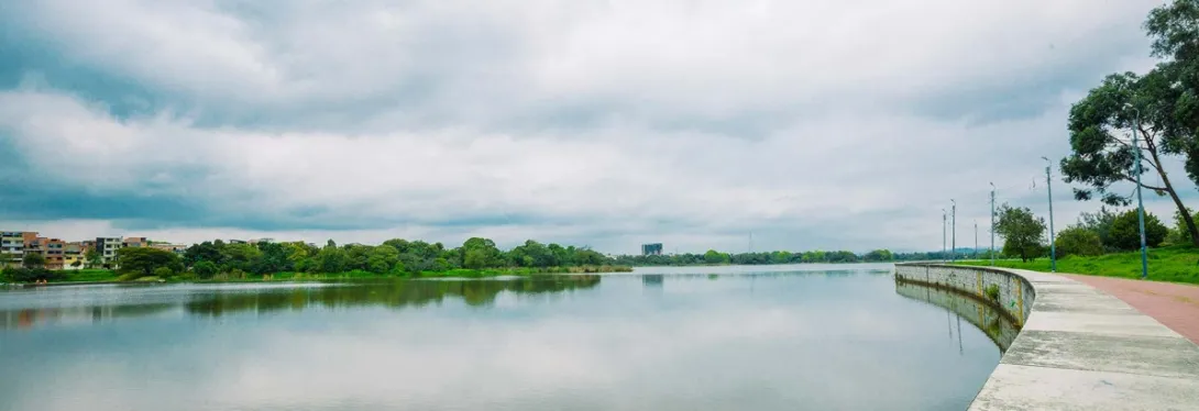 Parque Ecológico Distrital de Humedal Juan Amarillo