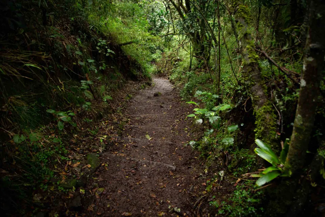 Ruta turística Santa Ana - La Aguadora