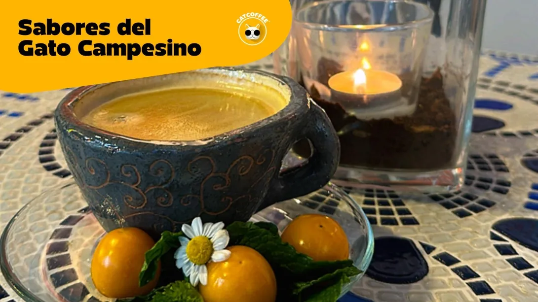 Sabores del Gato Campesino: del campo a tu paladar