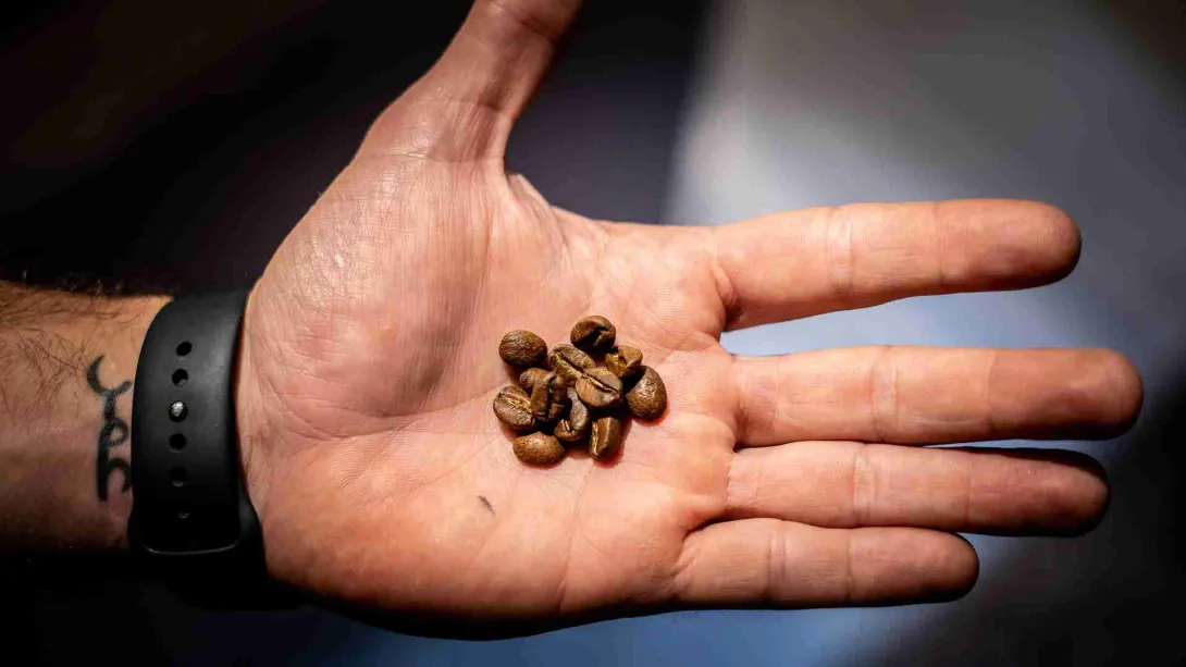 Rutas del Aroma: Un viaje sensorial por el café del mundo