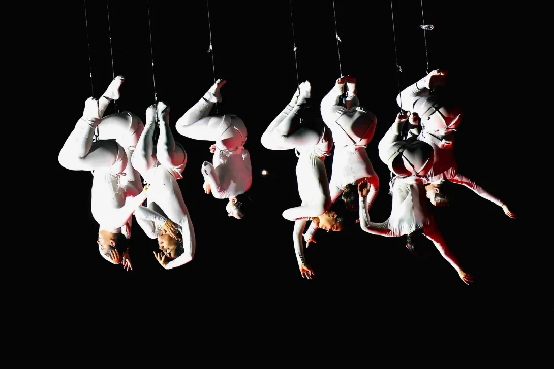 Festival Internacional de las Artes Vivas (FIAV)